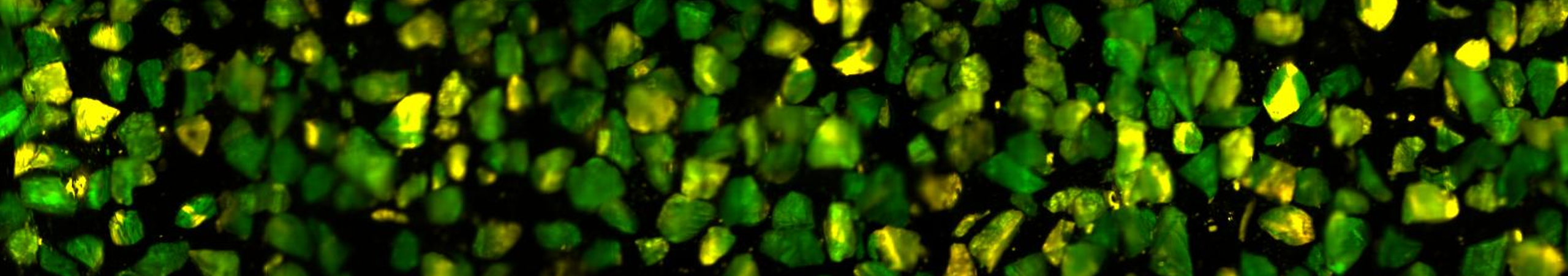 Rjl Microscanner Neue Richtlinie VDI 2083 Blatt 21 zur Reinheit von Medizinprodukten ...