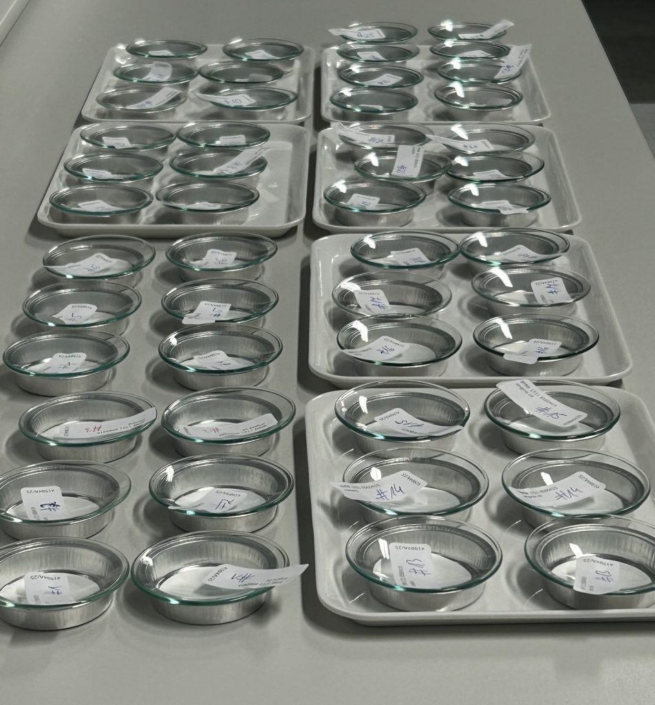 Laborkapazität für SEM-EDX Partikelanalytik erfolgreich getestet | RJL ...