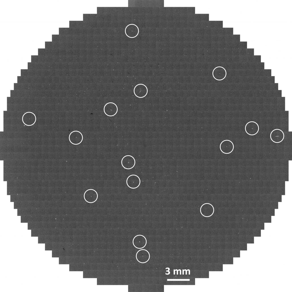 Ultra-Schnelle SEM-EDX Analyse von Restschmutzpartikeln ab 100 µm mit ...
