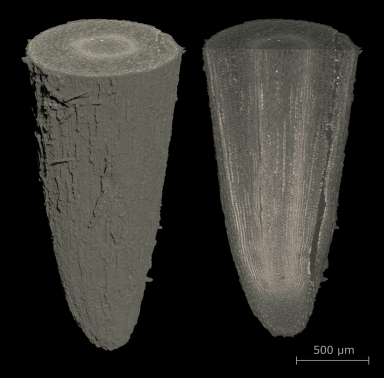 Rjl Microscanner X4 Poseidon von Bruker überzeugt durch höchste Auflösung und ...